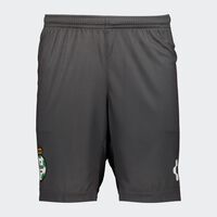 Charly Sports Santos Training Shorts for Men