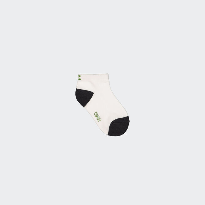 Charly Fashion 3 Pack Socks for Boys