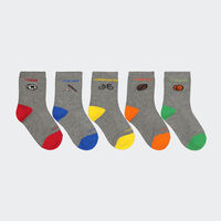 Charly Fashion 5 Pack Socks for Boys